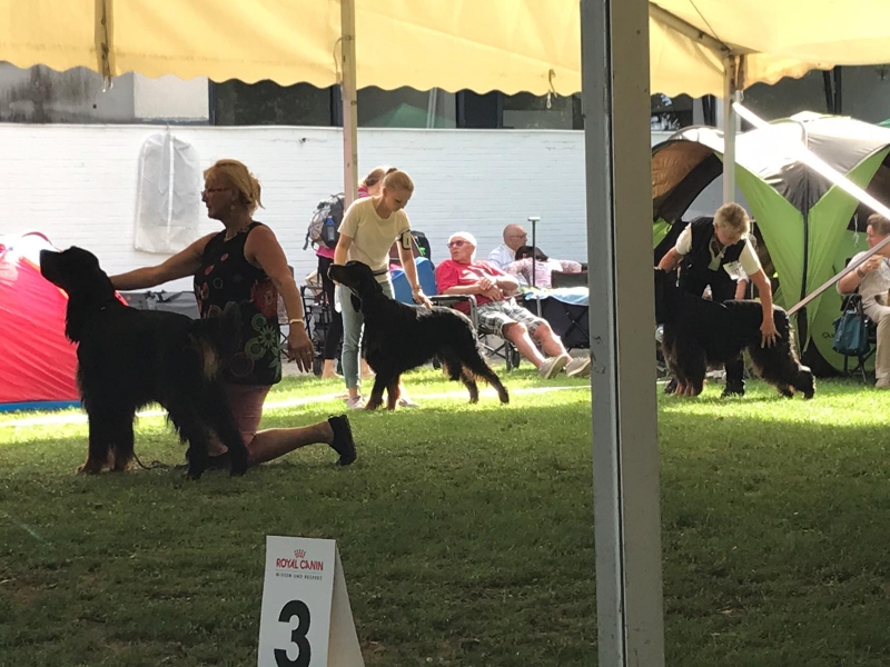 CACIB Ludwigshafen 11.08.2019